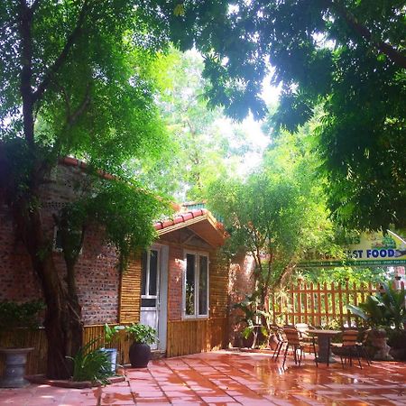 Tam Coc Green Fields Homestay نينه بينه المظهر الخارجي الصورة