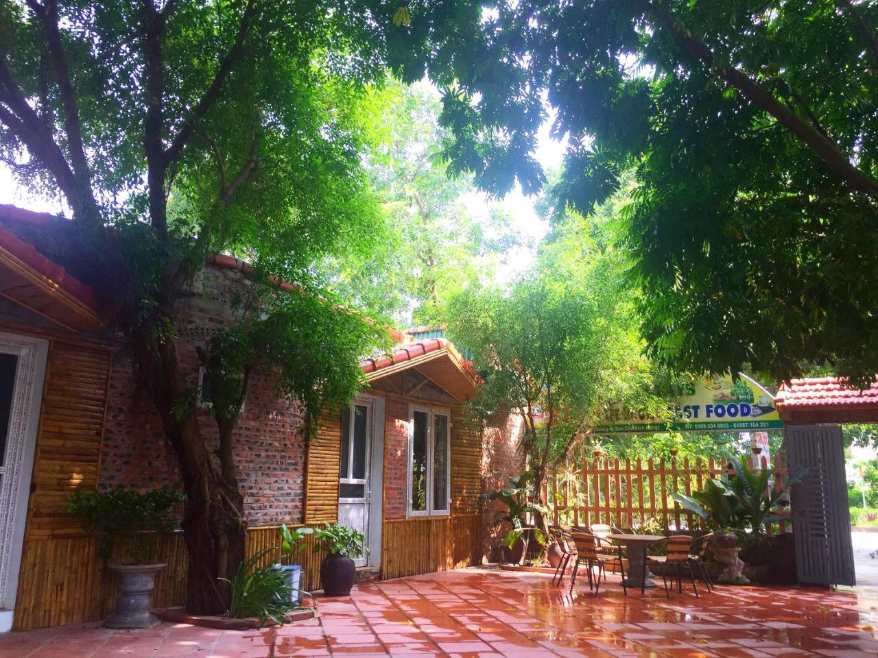Tam Coc Green Fields Homestay نينه بينه المظهر الخارجي الصورة